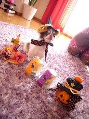 2012102314.jpg