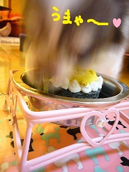 2012102316.jpg