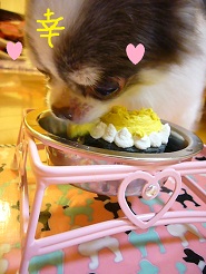 2012102317.jpg