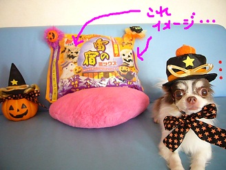 2012102601.jpg