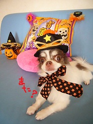 2012102602.jpg