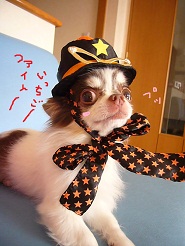 2012102603.jpg