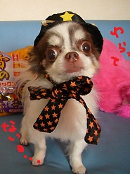 2012102604.jpg