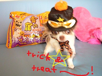 2012102605_20121025131545.jpg
