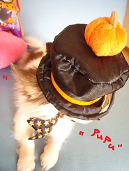 2012102606.jpg
