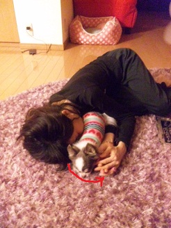 2012102607.jpg