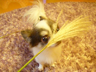 2012102701.jpg