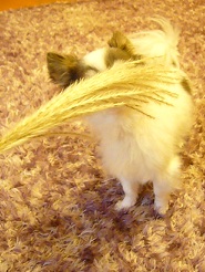 2012102702.jpg
