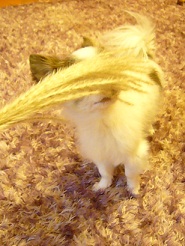 2012102703.jpg
