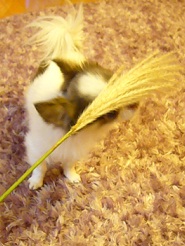 2012102704.jpg
