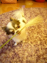2012102705.jpg