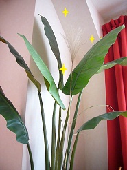 2012102706.jpg