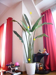 2012102707.jpg