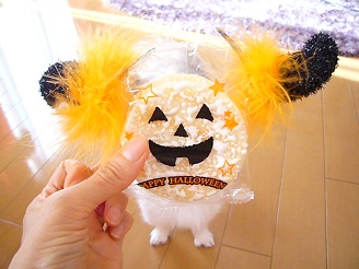 2012103111.jpg