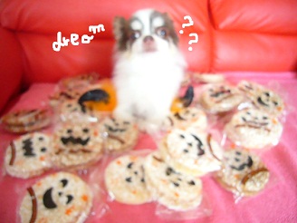 2012103112.jpg