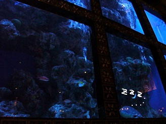 2012110706.jpg