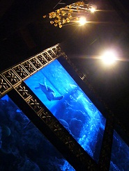 2012110712.jpg