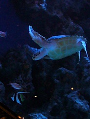 2012110714.jpg
