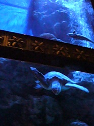 2012110715.jpg