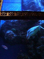 2012110716.jpg