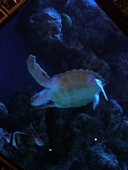 2012110717.jpg