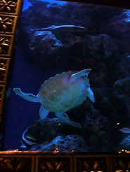 2012110718.jpg