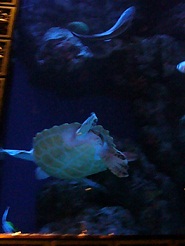 2012110719.jpg