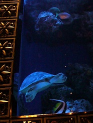 2012110720.jpg