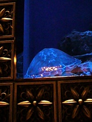 2012110721.jpg