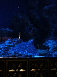 2012110722.jpg