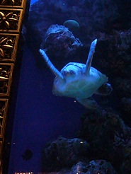 2012110723.jpg