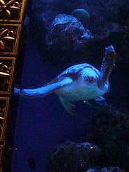2012110724.jpg