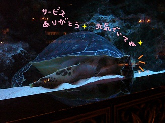 2012110726.jpg