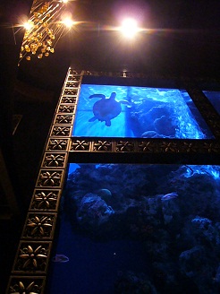 2012110729.jpg