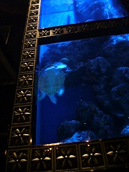 2012110731.jpg