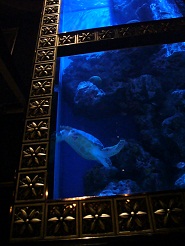2012110732.jpg