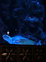 2012110737.jpg