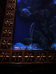 2012110747.jpg
