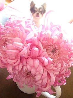 2012111401.jpg