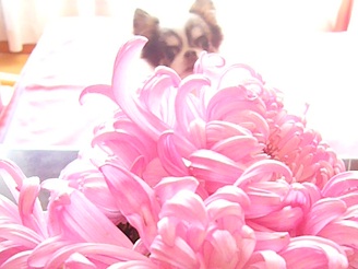 2012111402.jpg