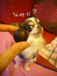 2012121901.jpg