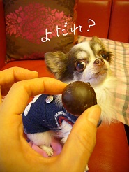 2012121902.jpg