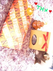 2012121903.jpg