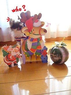2012121904.jpg