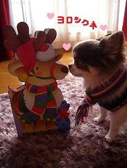 2012121905.jpg