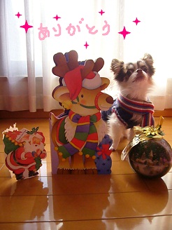 2012121906.jpg