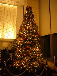 2012122313.jpg