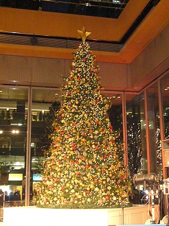 2012122314.jpg