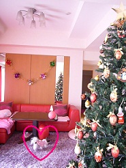 2012122402.jpg
