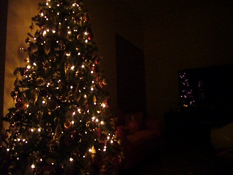 2012122405.jpg
